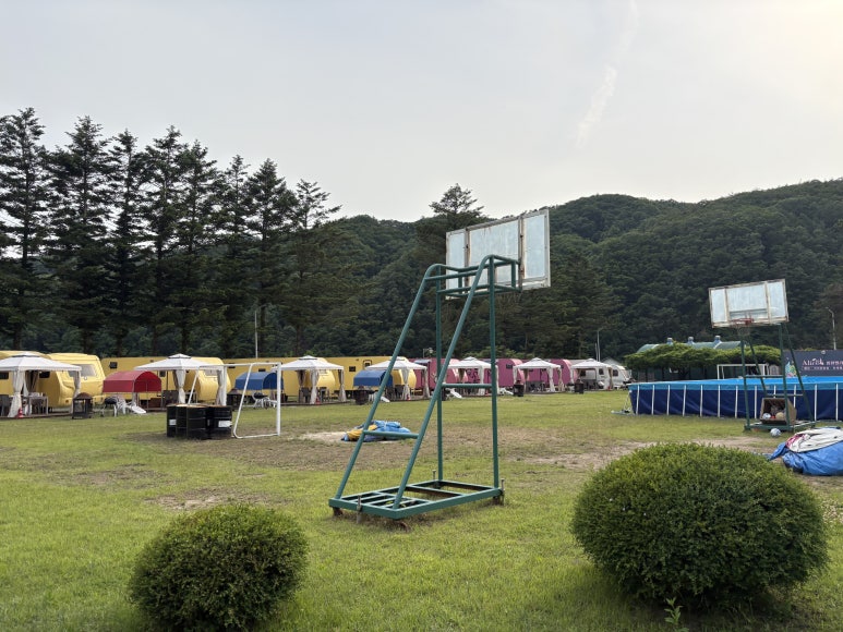 바운스당구장 이미지