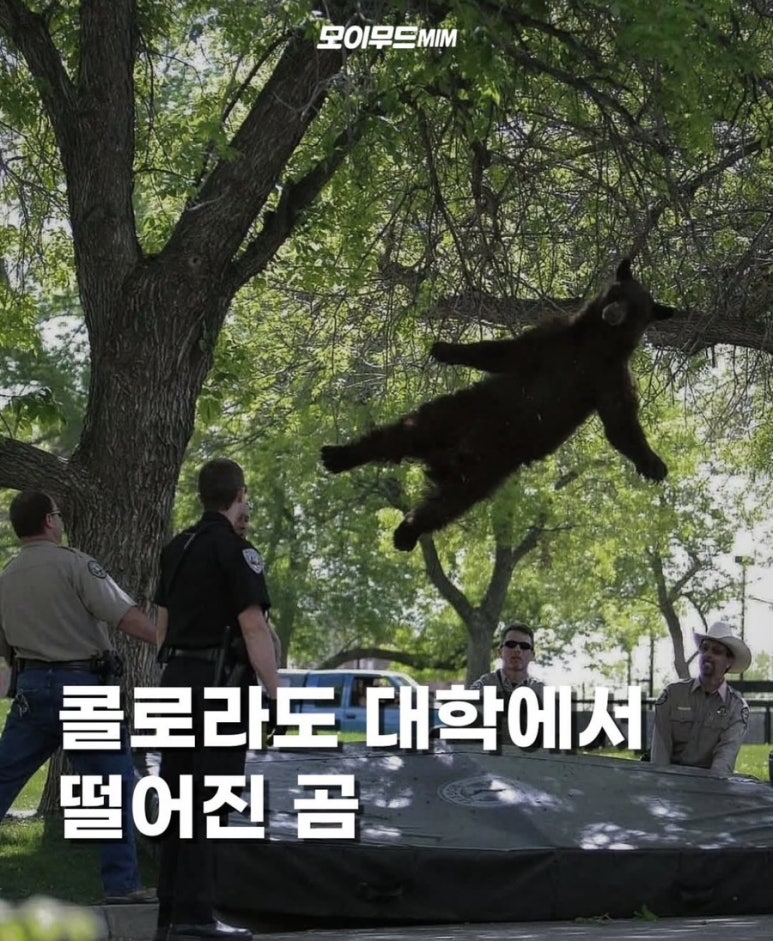 기릿 이미지