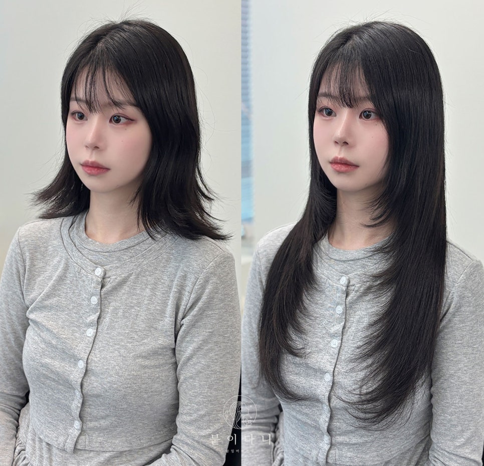 붙이다니 이미지