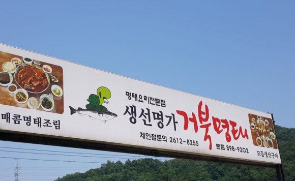 생선명가거북명태 이미지