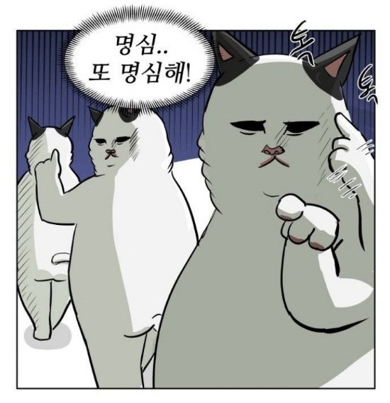 돈채 이미지