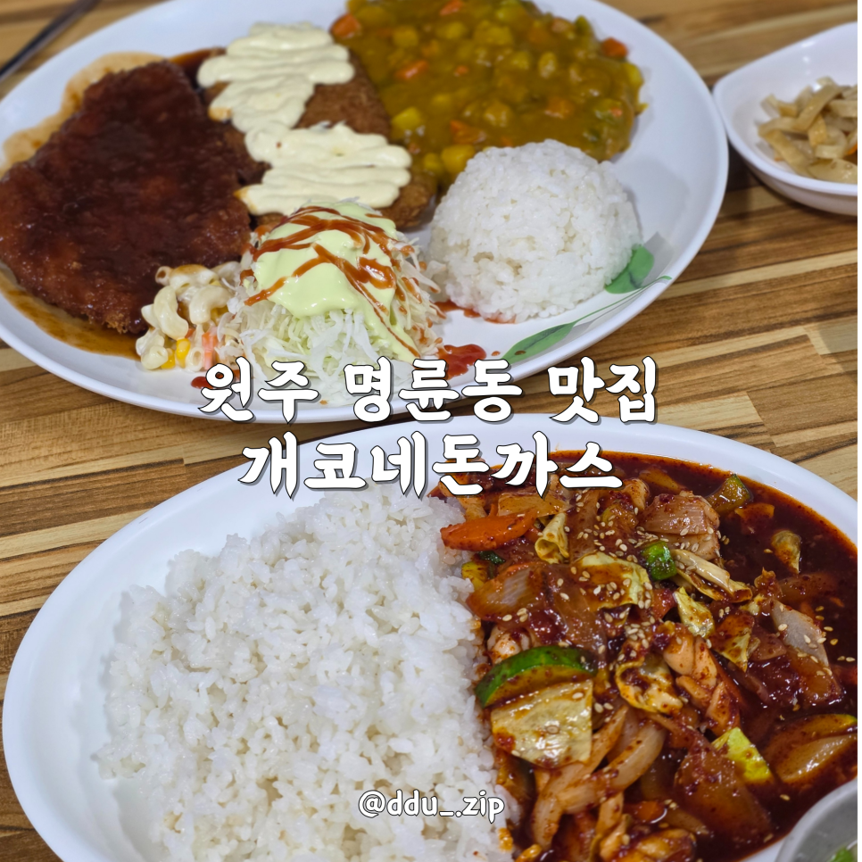 개코네돈까스 이미지