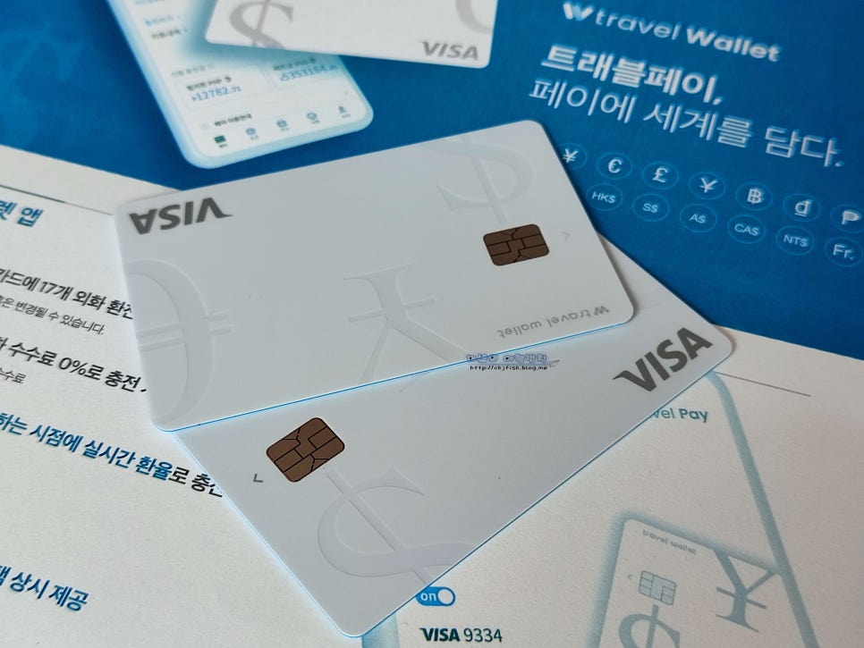 비바보홀 이미지