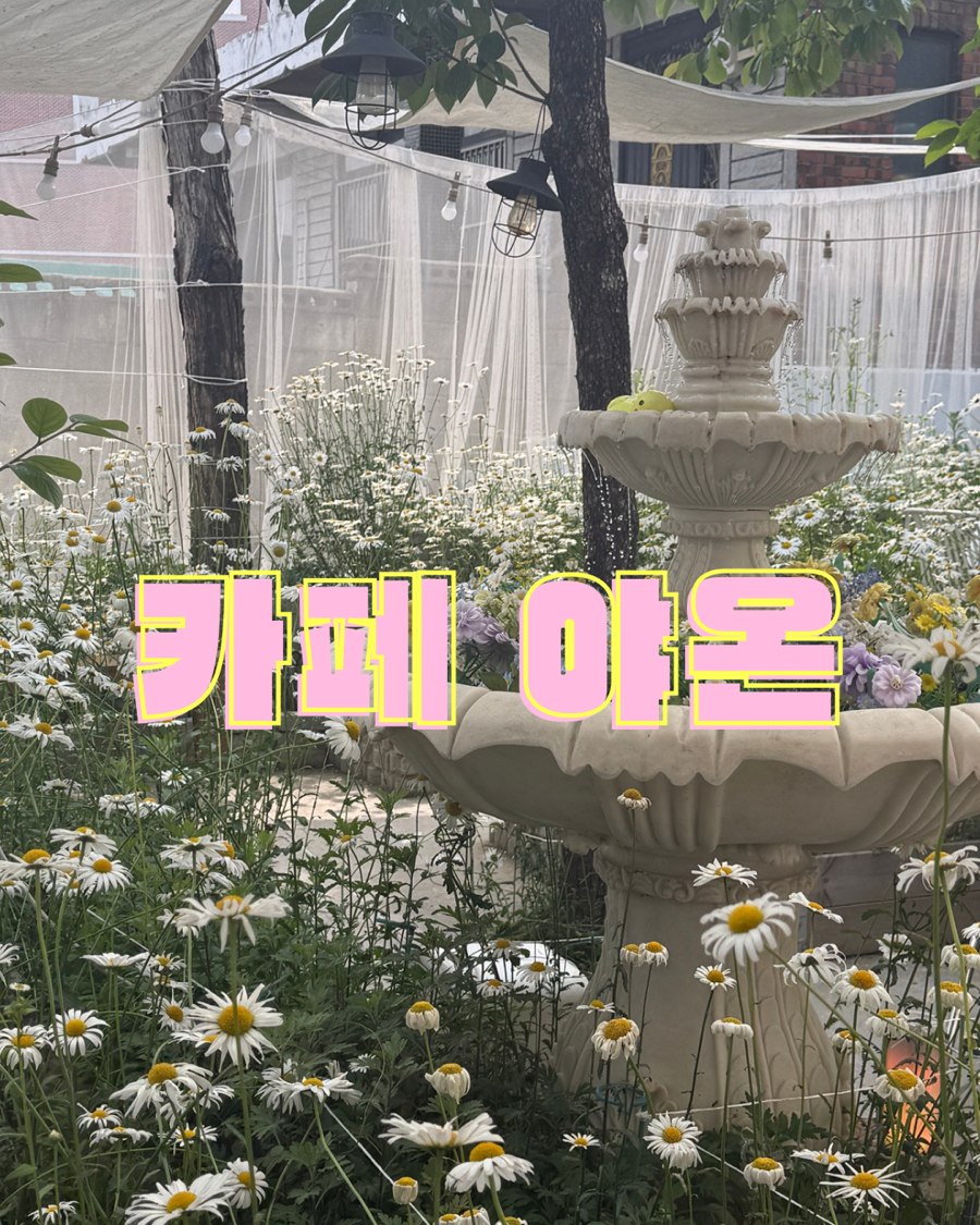 야온 이미지