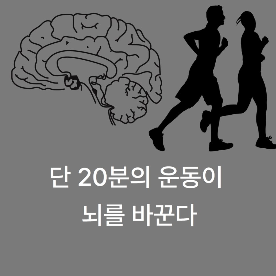 휴메이크국제학교점 이미지