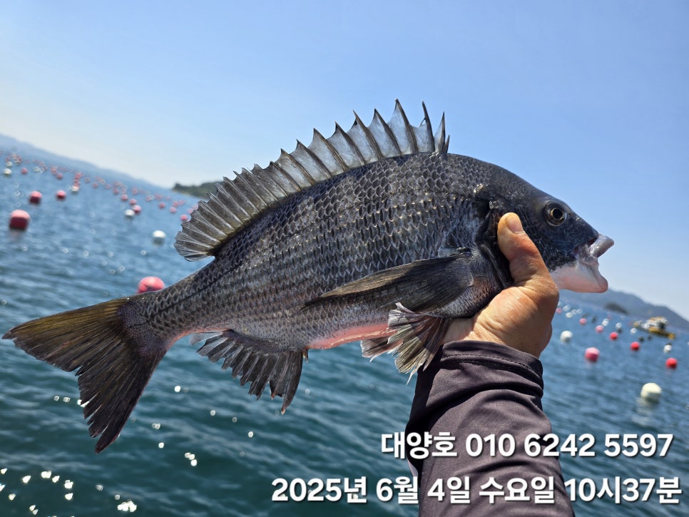 맛찌 이미지