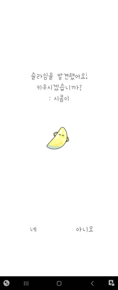빤딱 이미지