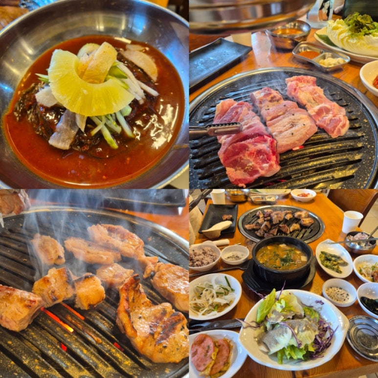 도도한암퇘지 이미지