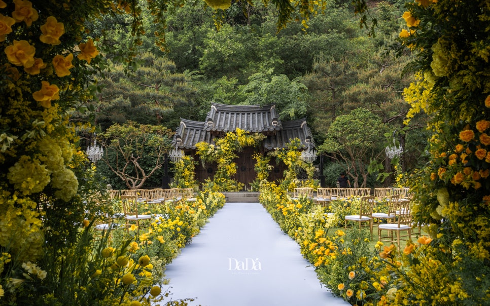 조하우스 이미지