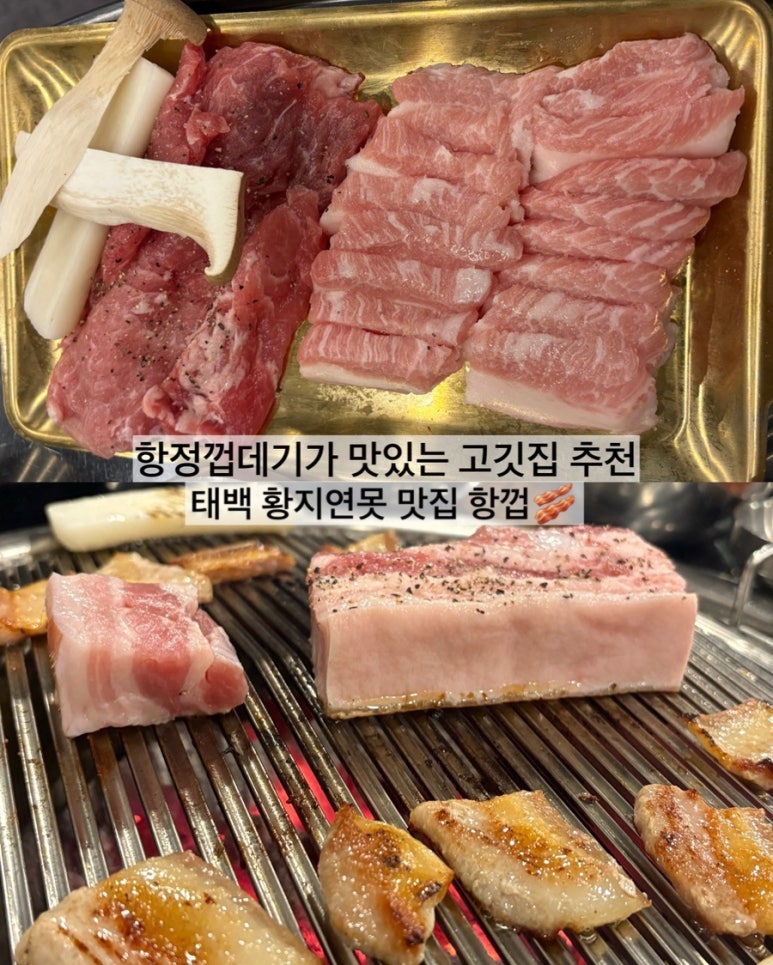 항껍 이미지