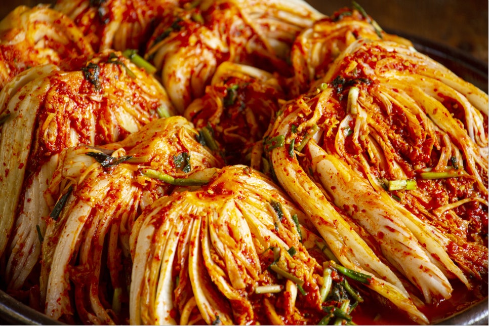 김치 도가 이미지