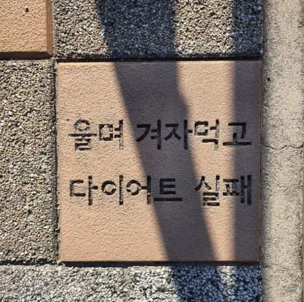 차원필라테스&발레핏 이미지
