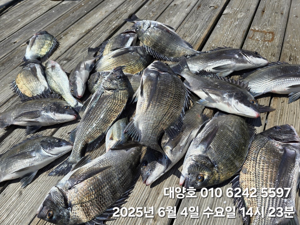 맛찌 이미지