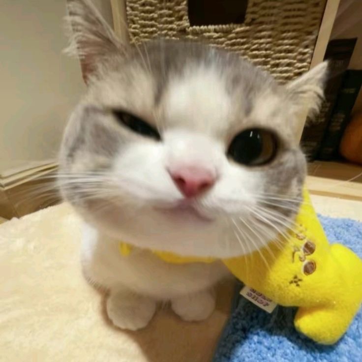 미닝 이미지