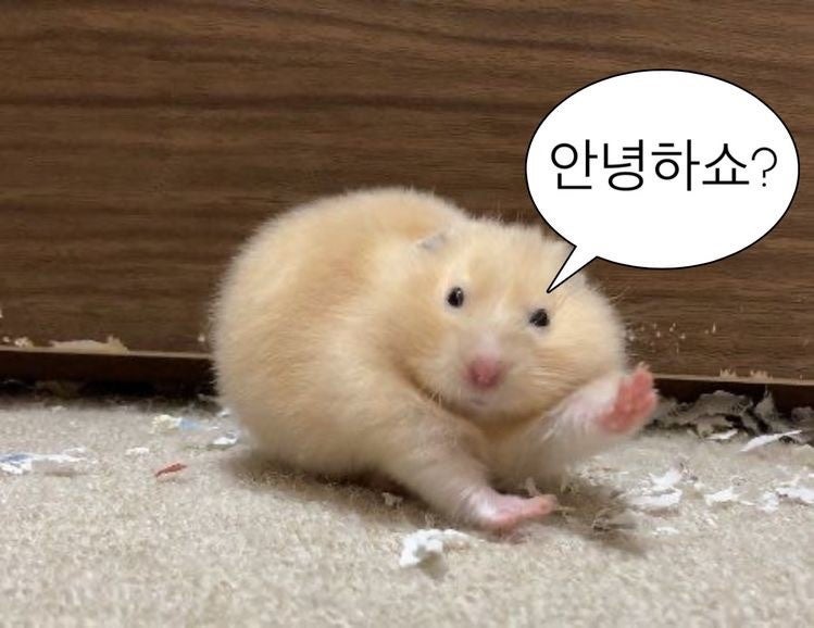 밤을 담다 이미지
