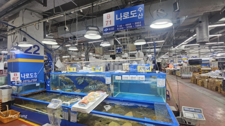나로도수산 사진 4