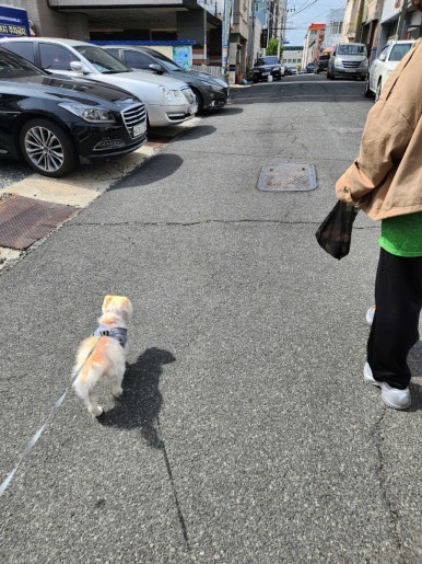 유미찌 이미지