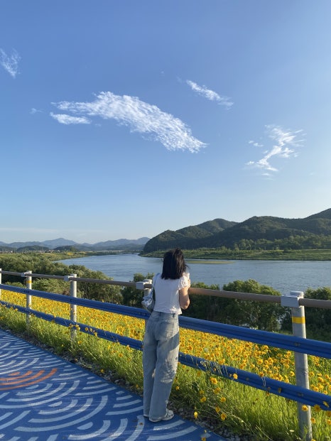 마이유메 이미지