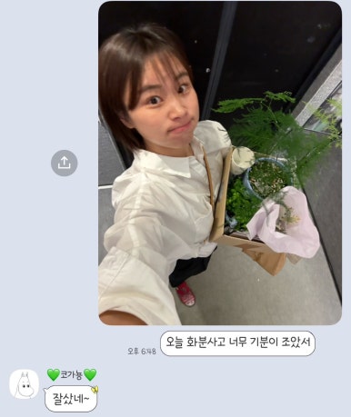 피엘피 이미지
