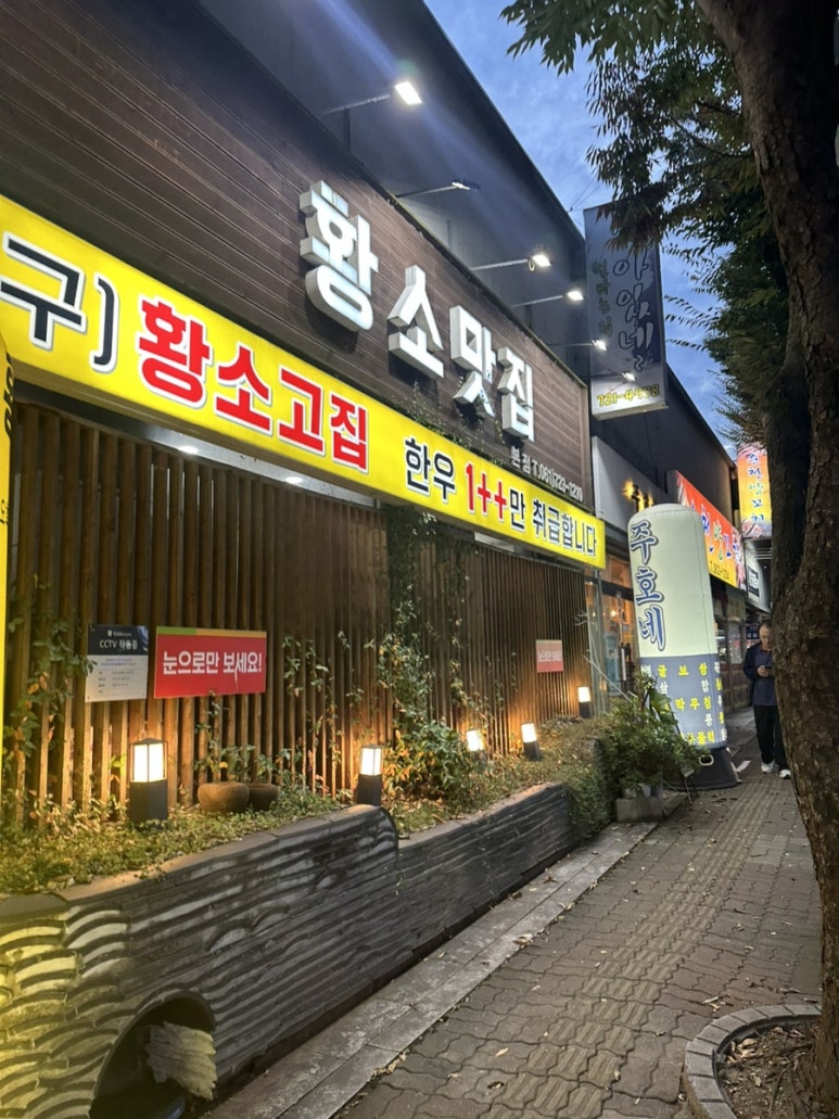 황소고집 본점 사진 3