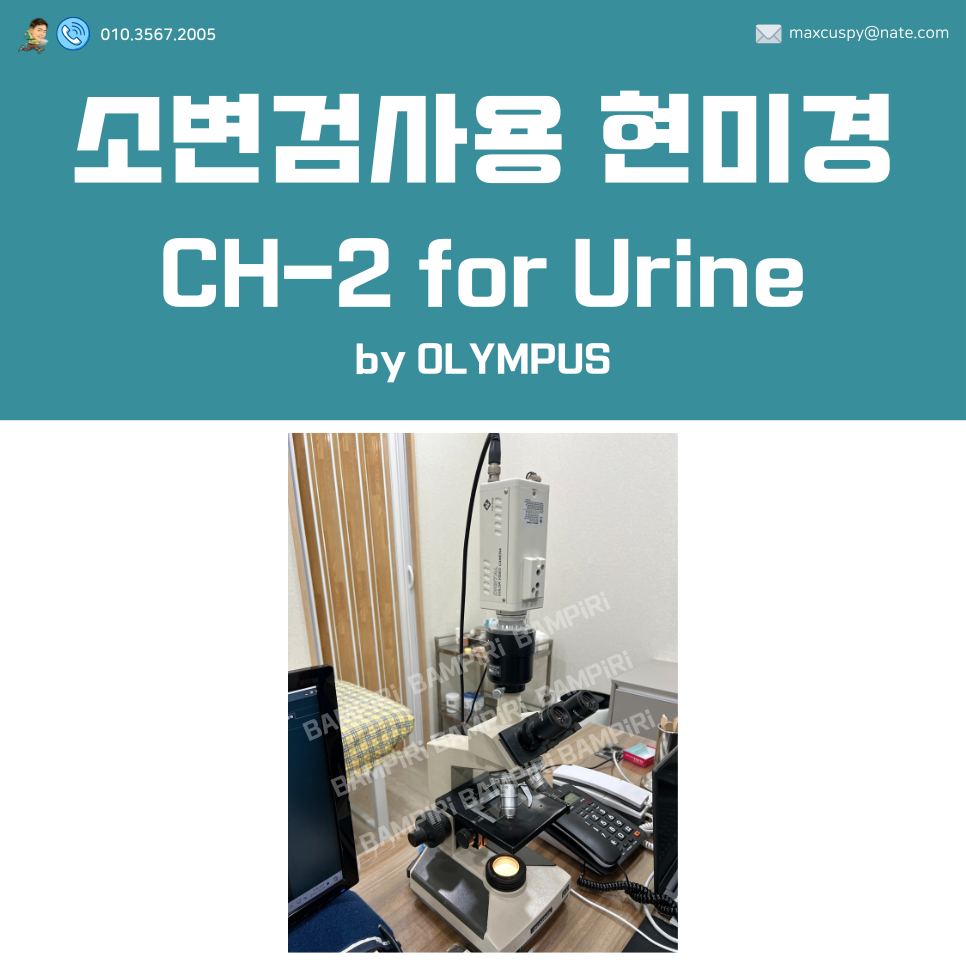 벨텍 이미지