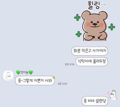 피엘피 이미지