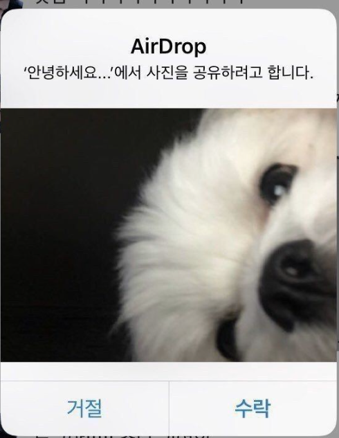 뮤즈웨딩 이미지