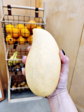 달브로 이미지