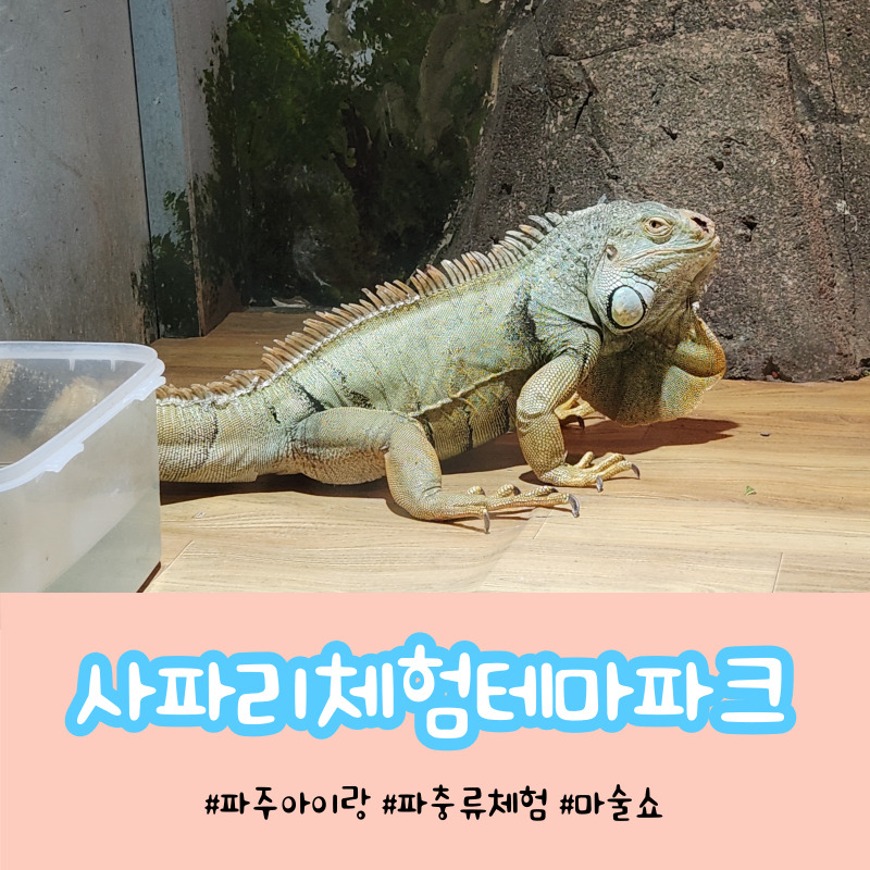 사파리체험테마파크 이미지