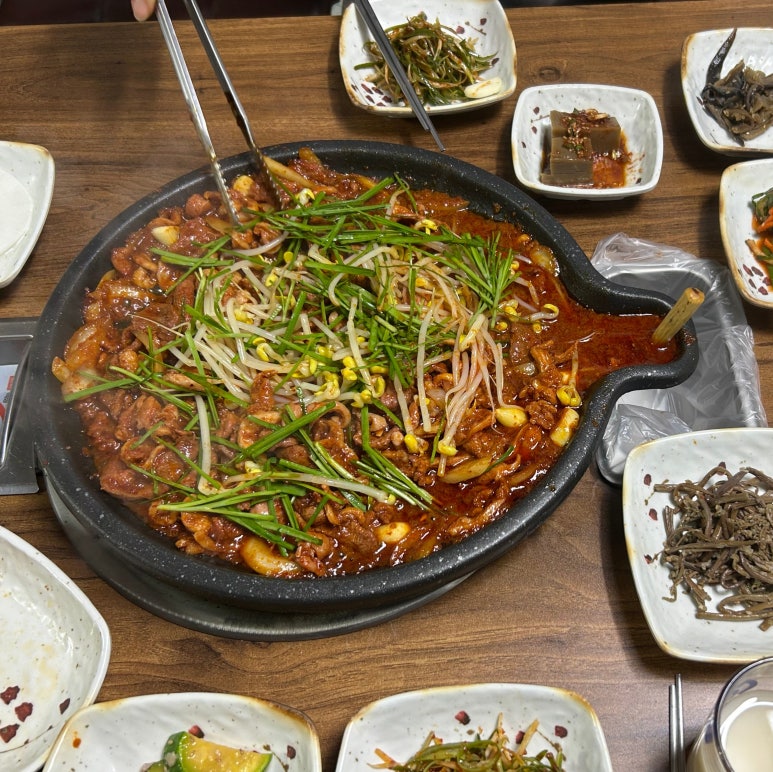 둥지생오리 이미지