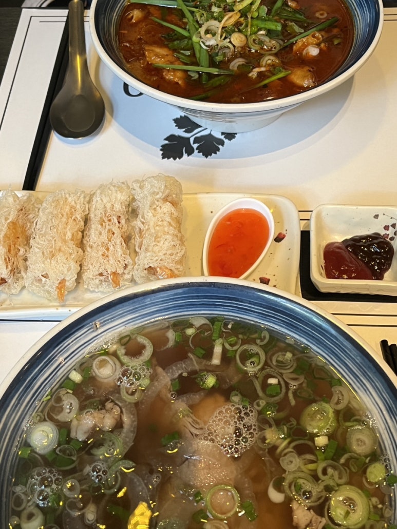 포텐슈 이미지