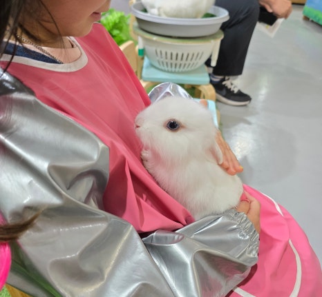 다솜생태관 이미지