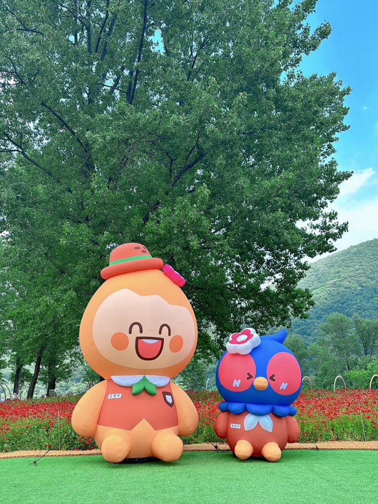 인생샷없음 이미지