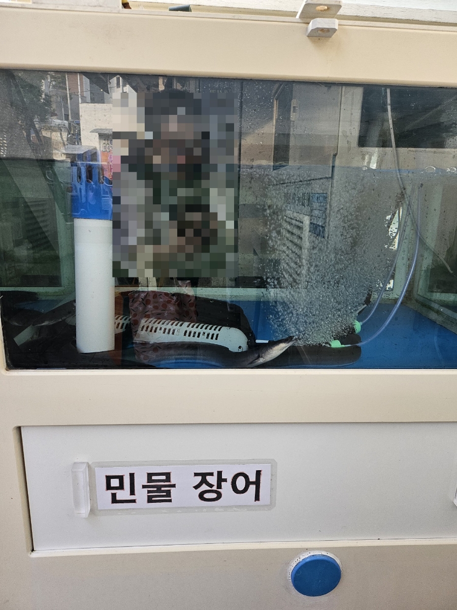 팔팔연제장어 이미지