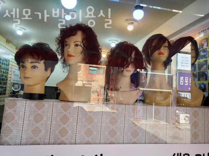 셀모가발 이미지