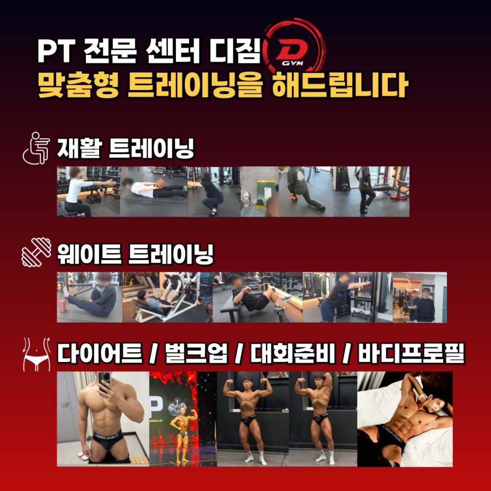 디짐 이미지