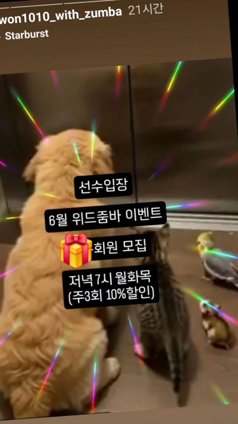 위드줌바 이미지
