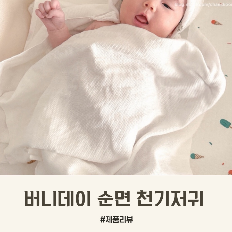 버니데이 이미지