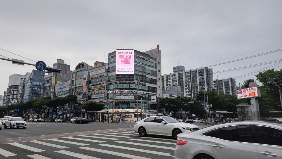 루니아의원 이미지