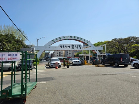 강남공판장 이미지