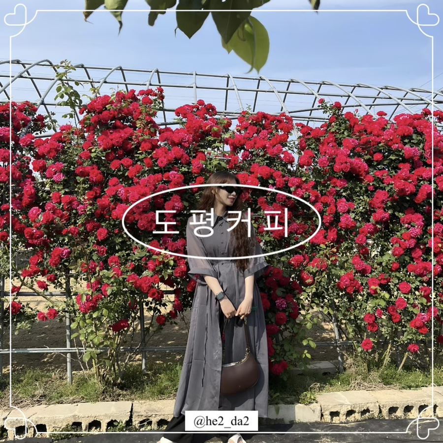 도평커피 이미지