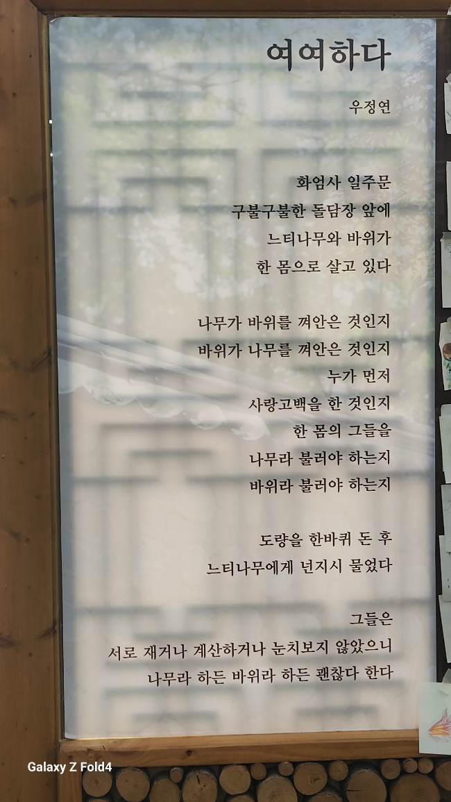 여여정 이미지