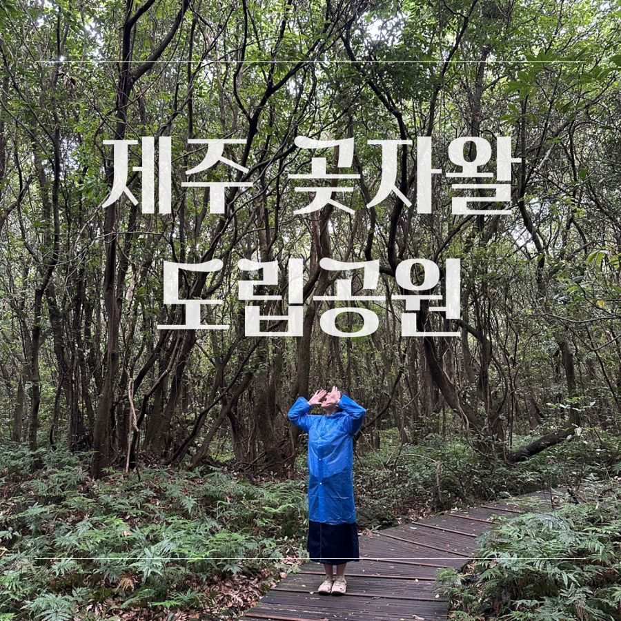 흙내음풀내음 이미지