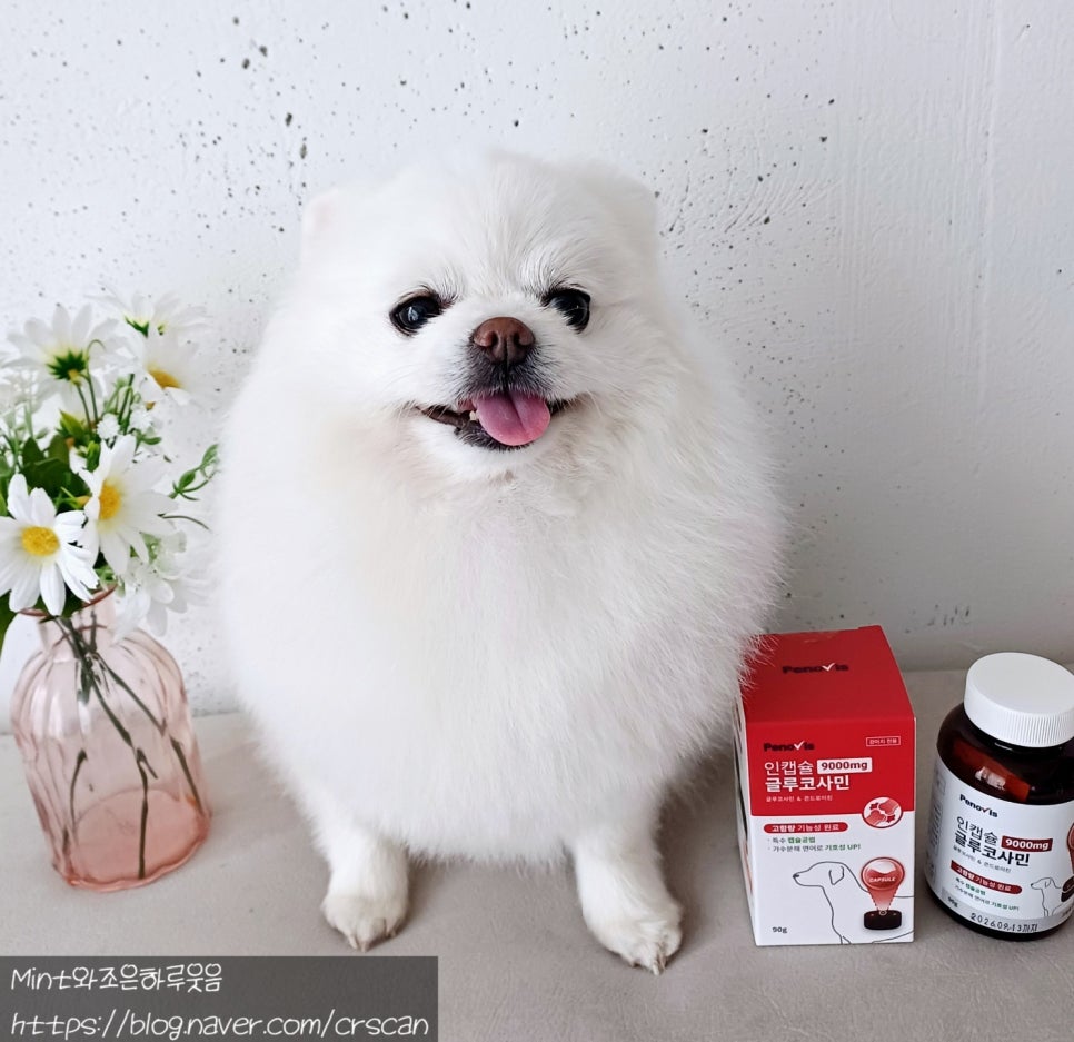 인 이미지