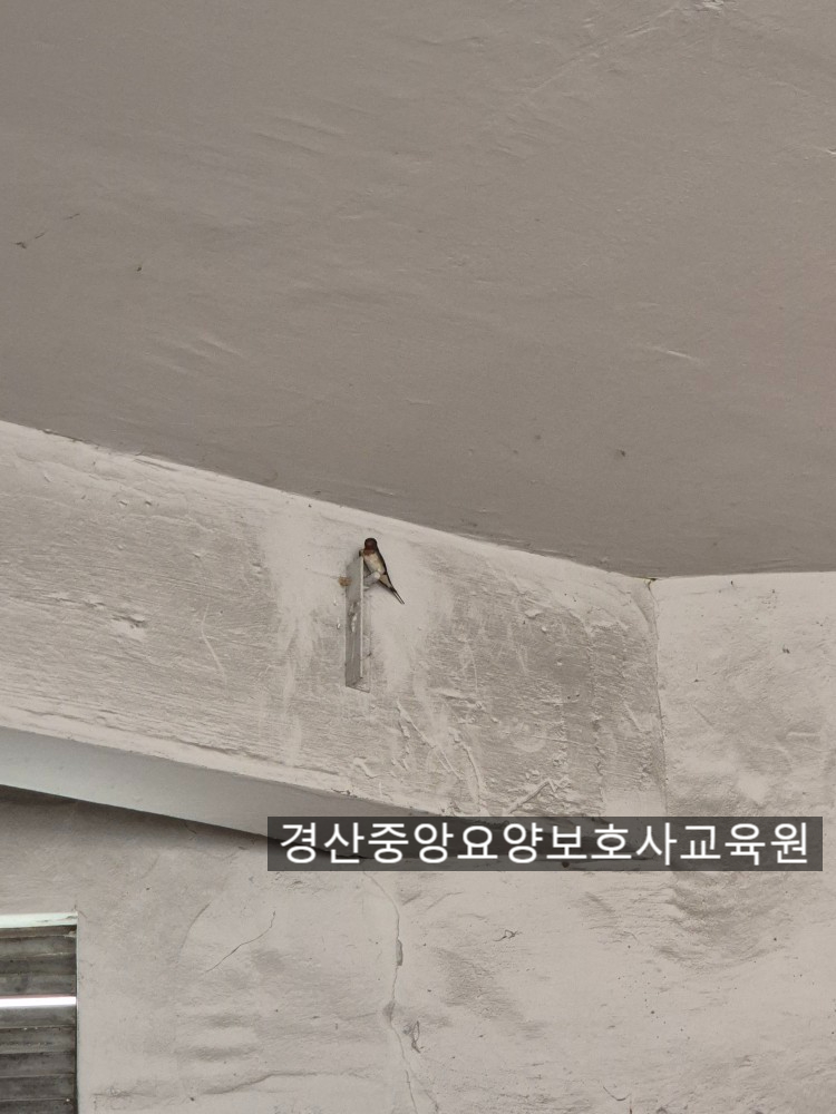 경산중앙요양보호사교육원 이미지