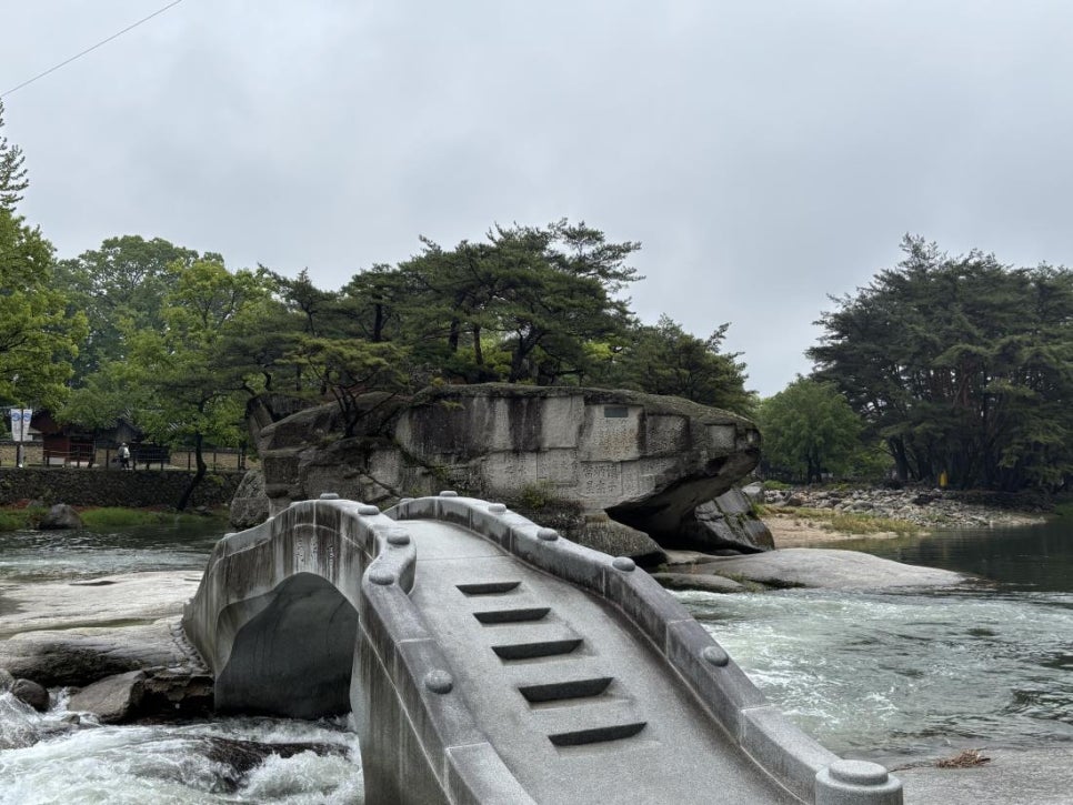 삼성여행사 이미지