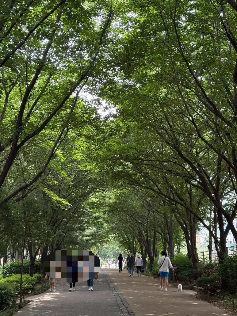 숲길 이미지