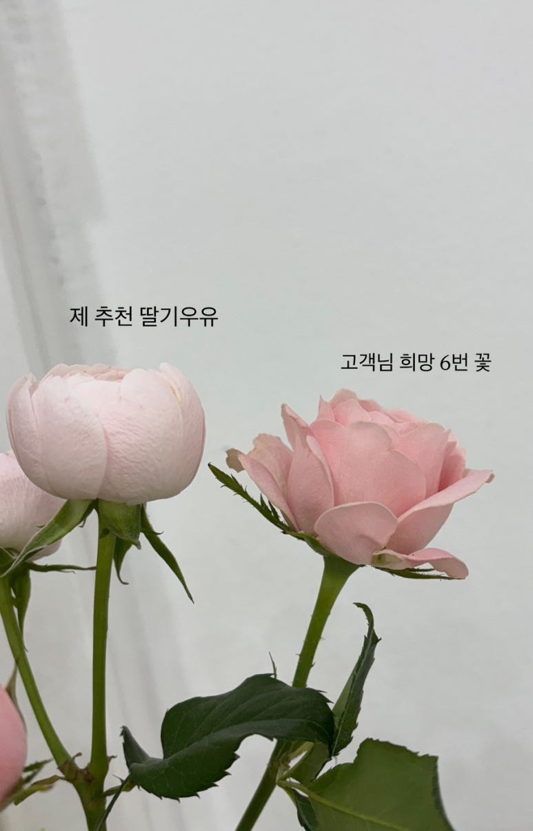 디어플라워스튜디오 이미지