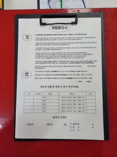 썬패러글라이딩 이미지
