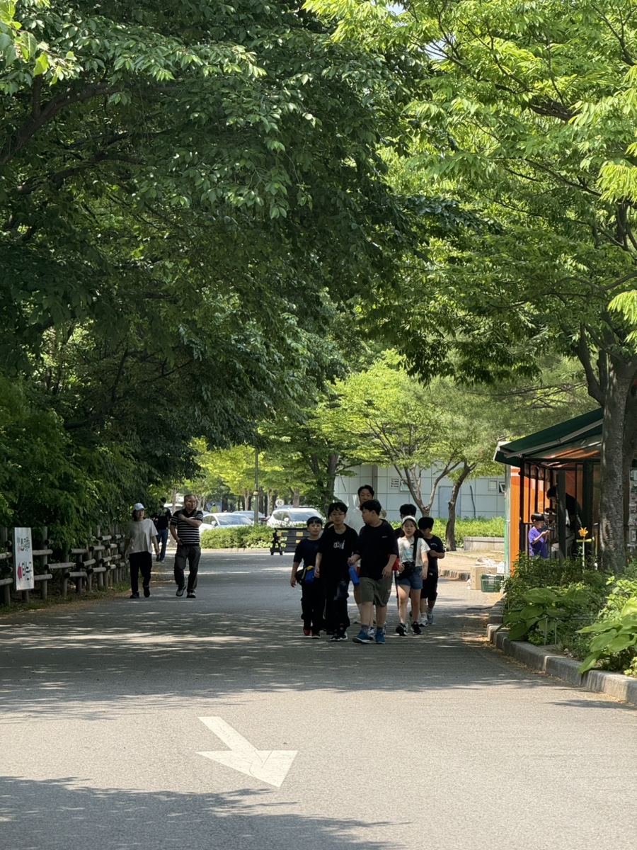 향동검도관 이미지